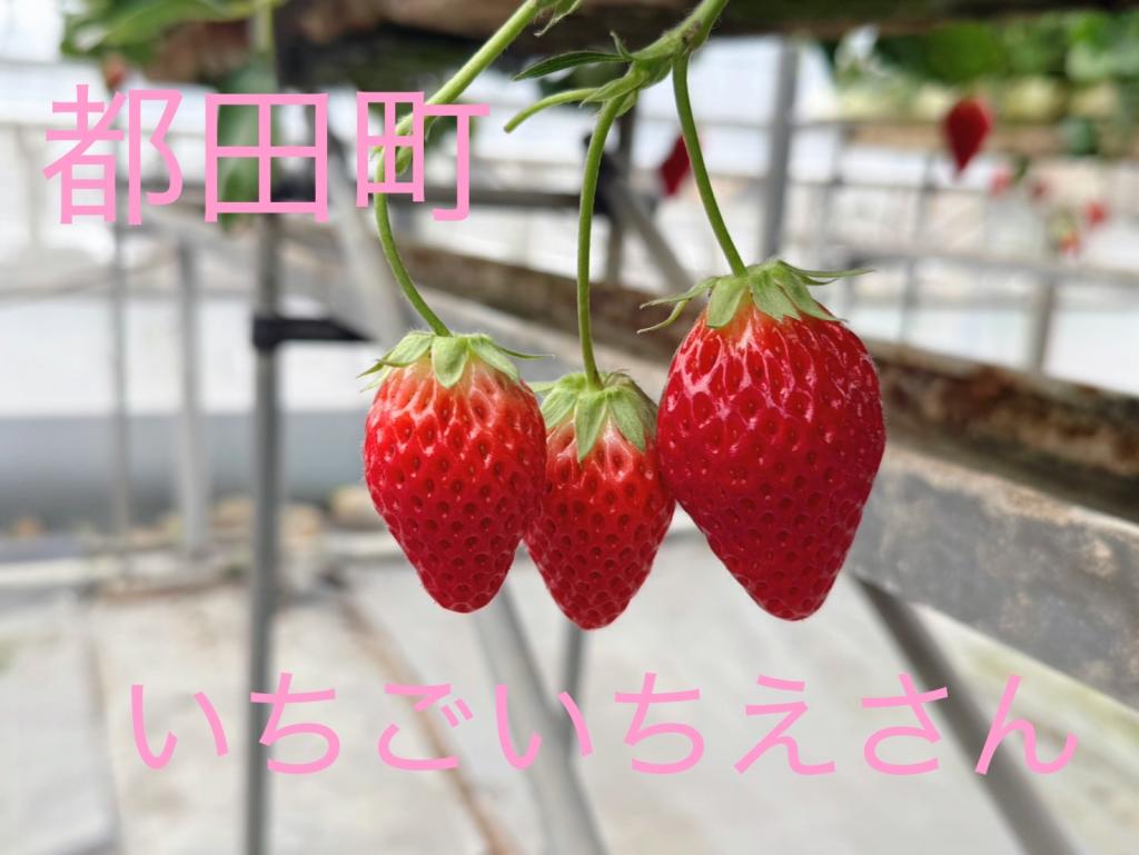 いちごページ 長野県産]夏いちご(彩夏)