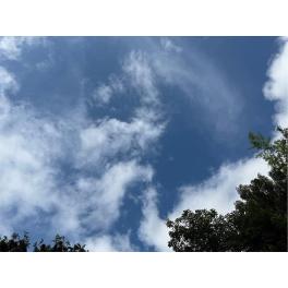 あなたの願いを叶えます☆☆