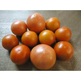 上出来🍅