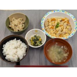 本日のお昼ごはん