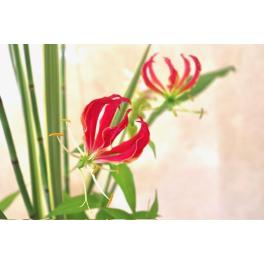 お花